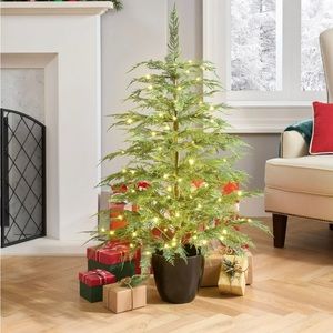 My Texas House Potted 4' Pre-Lit Cypress Artificial Christmas Tree, Green, 100 L